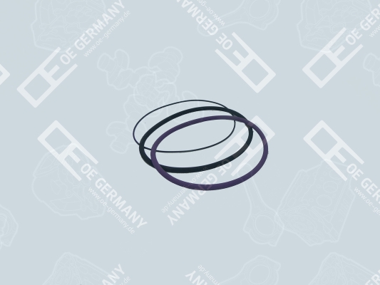 030111100000, O-Ring Set, cylinder sleeve, OE Germany, 275734-2, 275734, 271158-8, 271158, 50006609